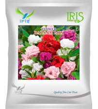 Iris Imported OP Balsam Mix 300+ Seeds